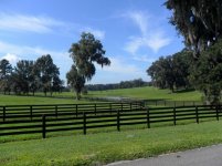 SAM_0017 (800x600).jpg