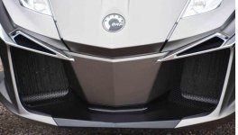 2014 RTlimited radiator grills.jpg