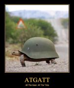ATGATT-Turtle.jpg