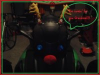 rogue reindeer 1.jpg