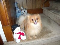 SpyderFest 2013 014.jpg