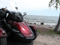 Spyder & Superior 4.jpg