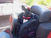 2011-10-08 10.33.52.jpg