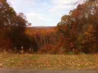 IMG_0419.jpg