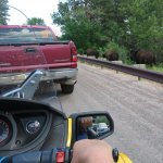 Too close for comfort.jpg