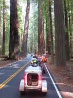 Spyders in the Redwoods 022.jpg