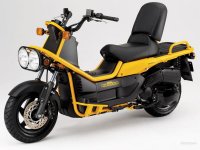 HondaBigRuckus.jpg