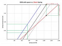 5.  spring margin.jpg