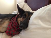 phone 07-17-13 095.jpg