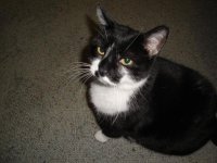 100110misc photos4 047.jpg