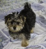 Molly Bed 2 (1 of 1).jpg