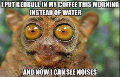 I See Noises.jpg