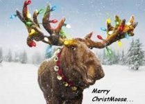 Merry Christmoose02.jpg
