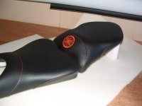 FZ6R with Logo Ceci 002.jpg