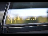 SypderLover.jpg