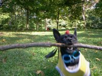 2011-09-15 15.17.37[0].jpg