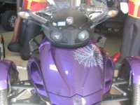 CindiSpyder.jpg