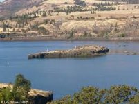 Memaloose Island.jpg