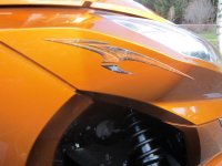 newest farkles on RTS-SE6 COGNAC 009.jpg