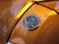 newest farkles on RTS-SE6 COGNAC 010.jpg