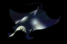 manta_ray___art_trade_by_legendofyuki-d5q3of5.jpg
