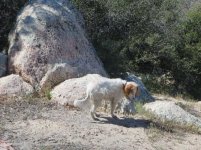 Camping with Trina 007.jpg