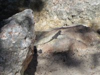 Camping with Trina 006.jpg