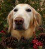 2014-12-15 13.30.11.jpg