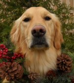 2014-12-15 13.35.00.jpg