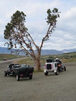 Shoe tree Alturas.jpg