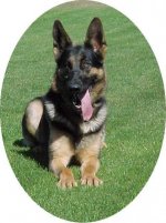 dasko down3 9-00.jpg