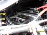 SAM_0890 (800x600).jpg