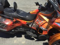 IMG_2671 (Large).jpg