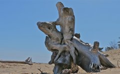 IMG_0209_2 07-02-39.jpg