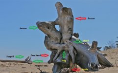 IMG_0209_2 07-02-39.jpg