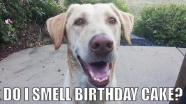 Do I Smell CAKE 01.jpg