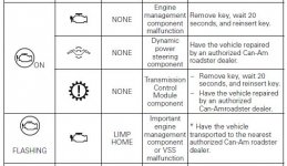 Engine Light Malfunctions.JPG