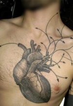 heart1.jpg