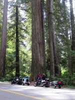 Costal Ride with Rob 008.jpg