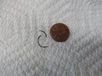 SpyderOilChange 006.JPG