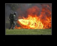 flamethrowers.jpg