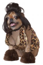 cute-dog-costumes-jersey-tramp-dog-costume-21238.jpg