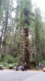 20150820_093310_resized.jpg