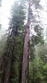 20150820_093300_resized.jpg