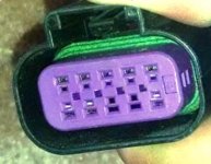 Female Delphi Housing 15326842.jpg