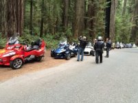 Ride through park.jpg