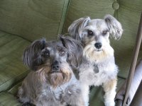 2014-12-14 13.58.36.jpg