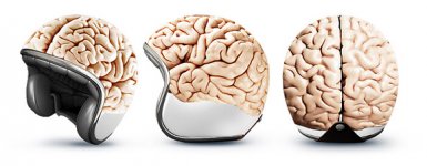 Cool-Motorcycle-Helmets-Brain.jpg