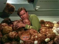 Tribbles.jpg