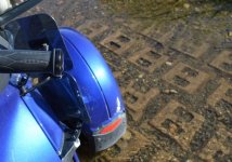 Nid in the water.jpg